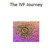 IVG Journey of egg cell